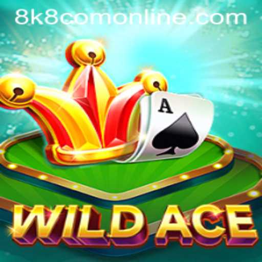 Exploring the Excitement of WildAce: A New Frontier in Virtual Gaming